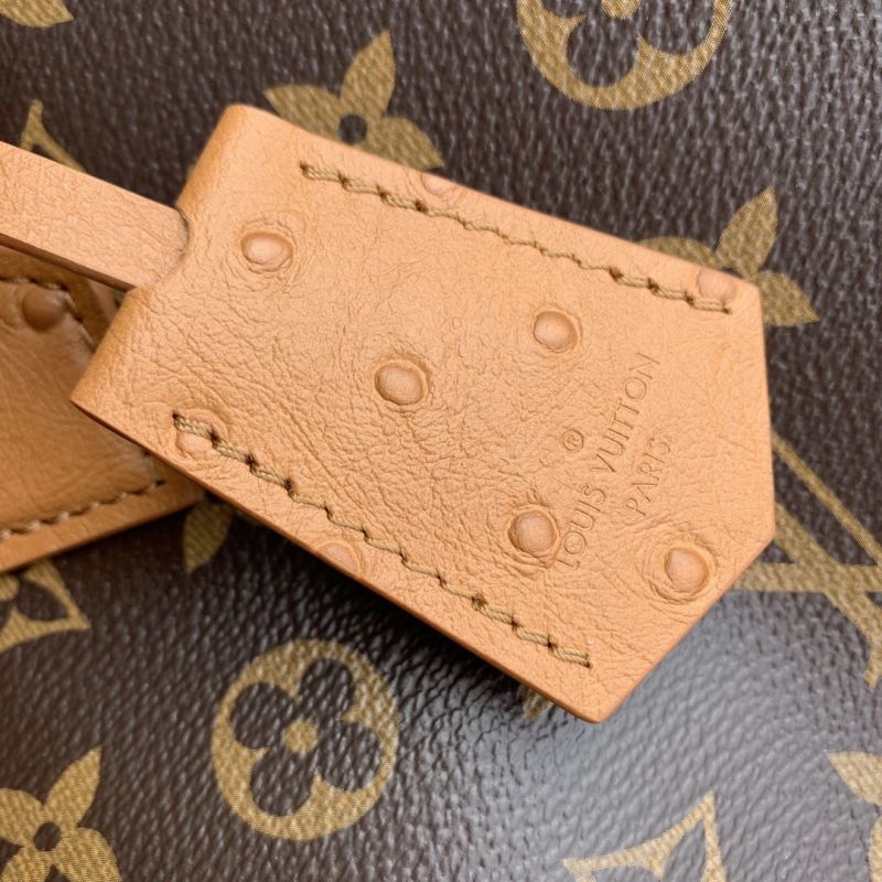 LV Speedy Bags